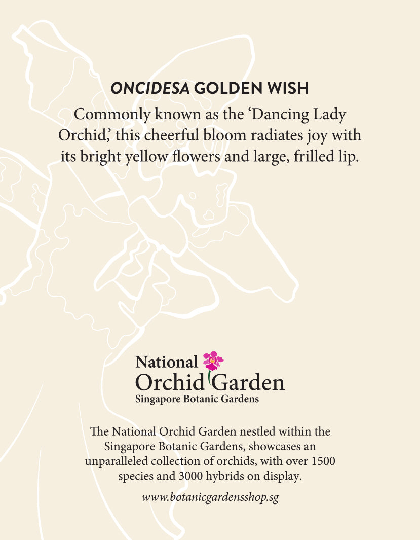 Orchid garden magnet back with printed text and pale orchid line design