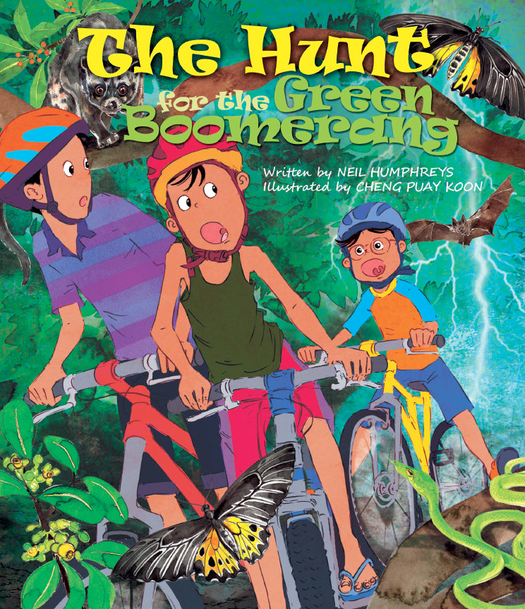 the-hunt-for-the-green-boomerang