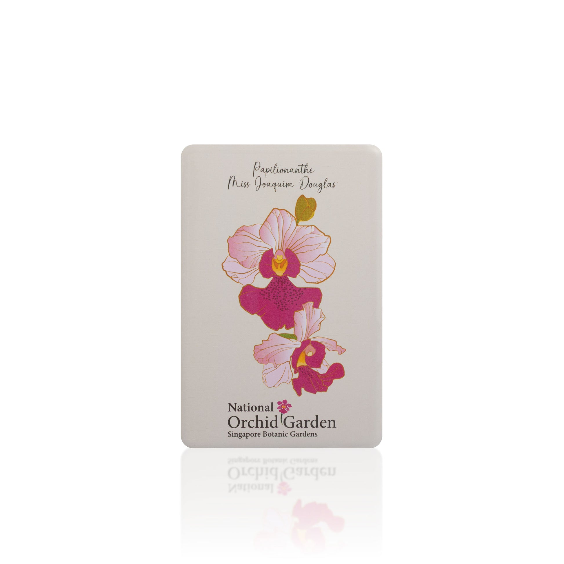 Orchid garden magnet with pink and magenta Vanda Miss Joaquim Douglas flowers