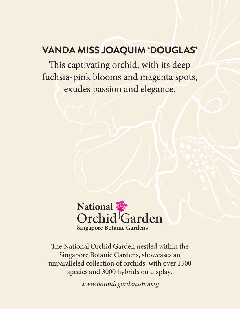 Orchid garden magnet back with floral text and Vanda Miss Joaquim Douglas caption