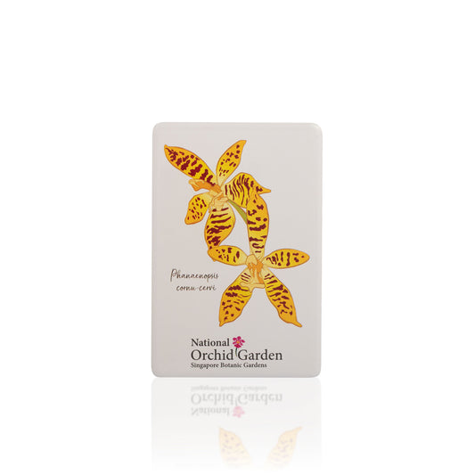Rectangular white magnet with yellow-orange deer antler phalaenopsis orchid illustration
