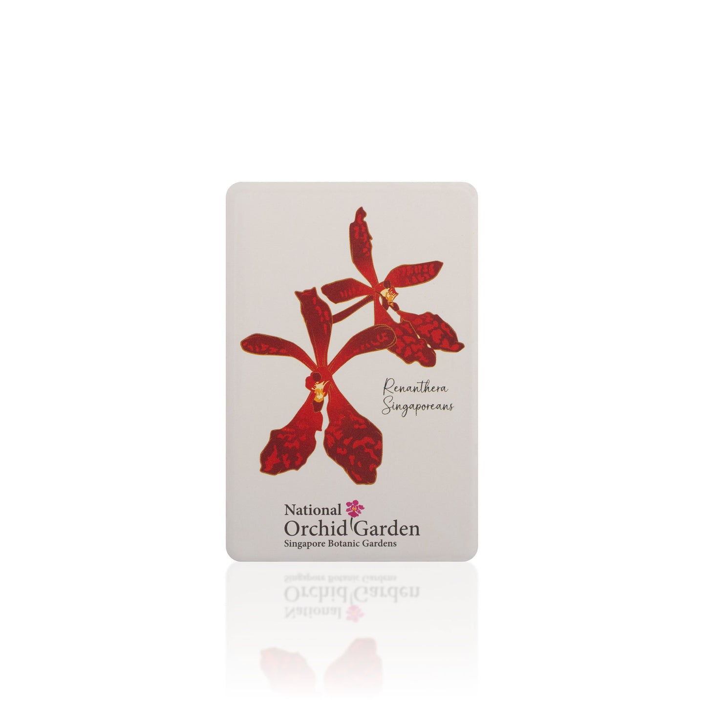 Rectangular National Orchid Garden magnet with red Renanthera Singaporeans orchid artwork