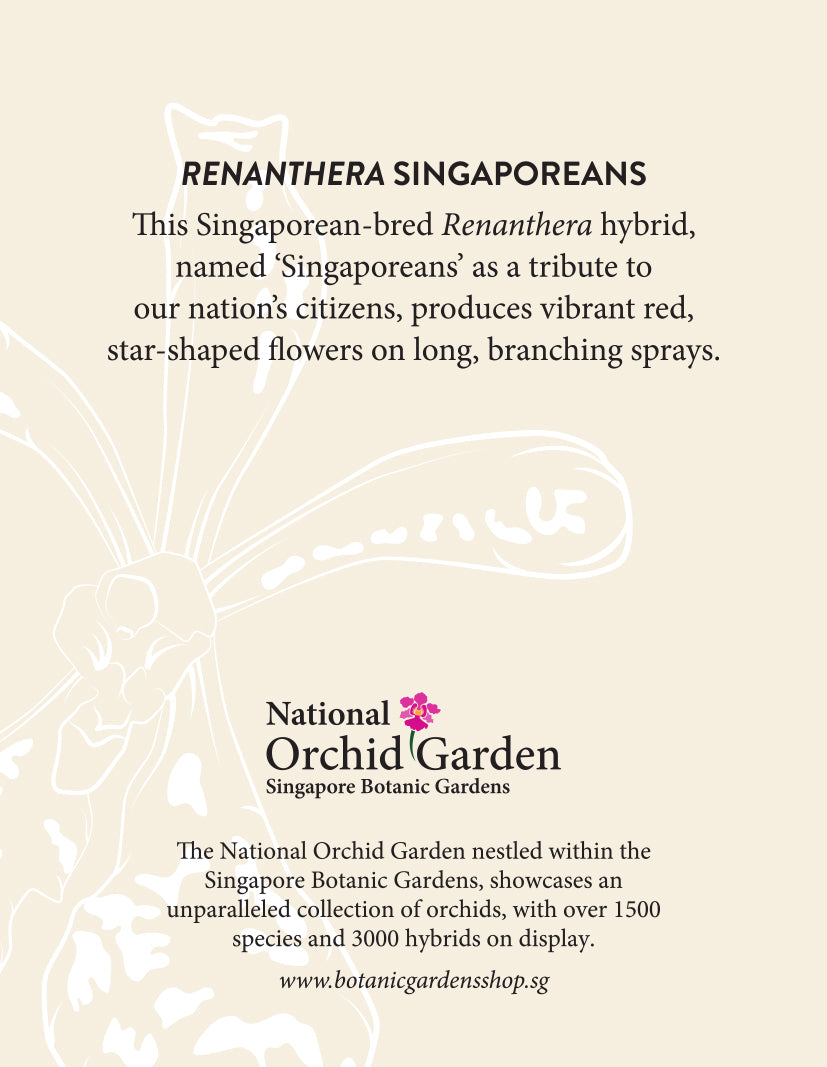 Orchid garden magnet back design with Renanthera Singaporeans text and line-art