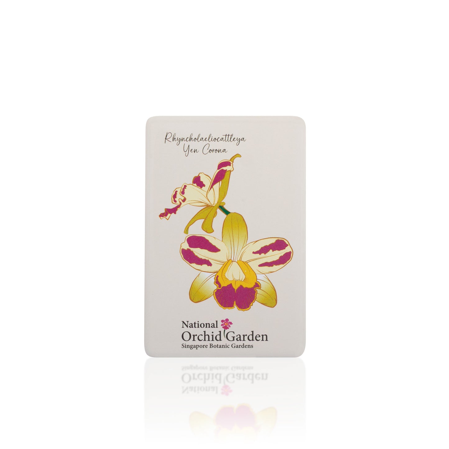 Rectangular orchid magnet with colorful orchid illustration and 'National Orchid Garden' text