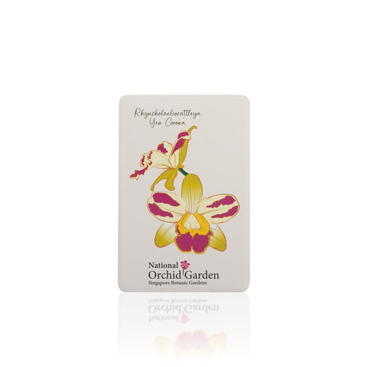 Rectangular orchid magnet with colorful orchid illustration and 'National Orchid Garden' text