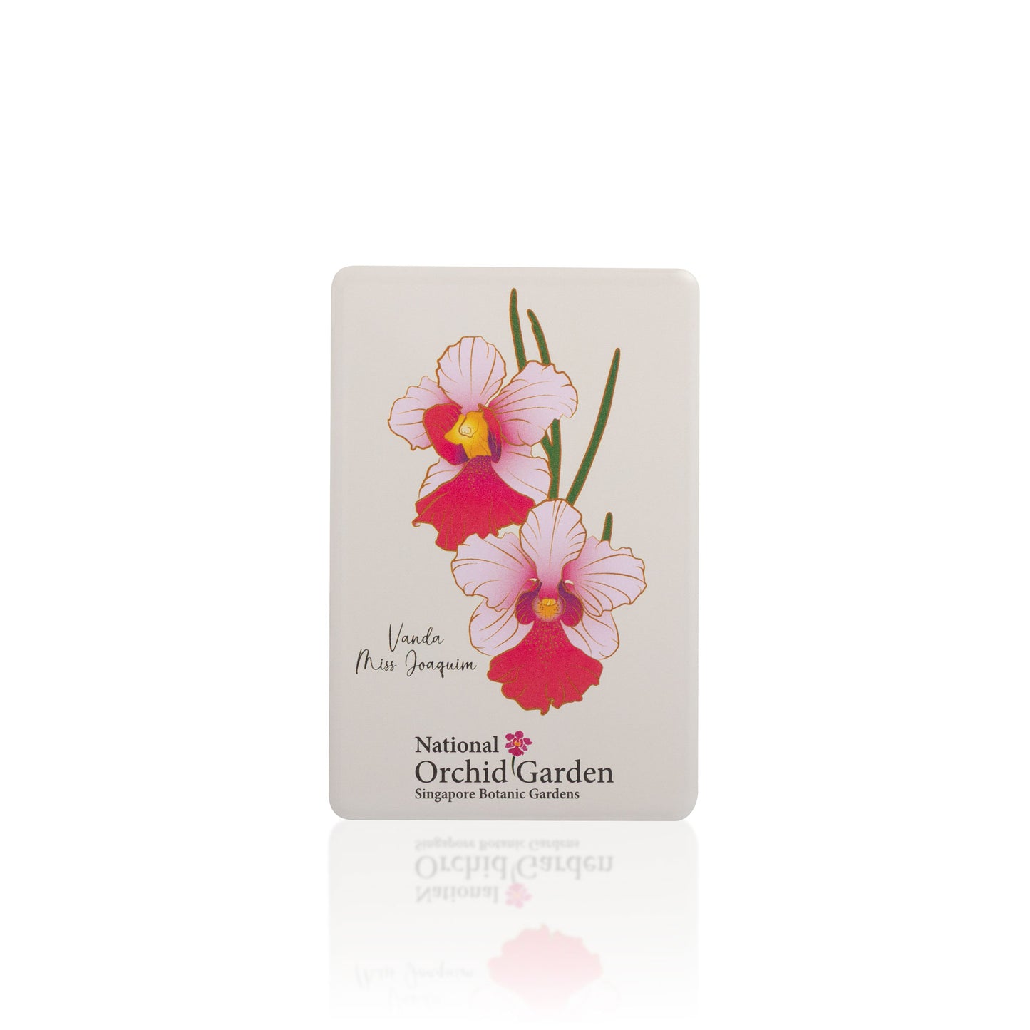 Rectangular orchid garden magnet with pink Vanda Miss Joaquim flowers and Singapore text