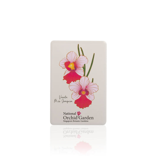 Rectangular orchid garden magnet with pink Vanda Miss Joaquim flowers and Singapore text