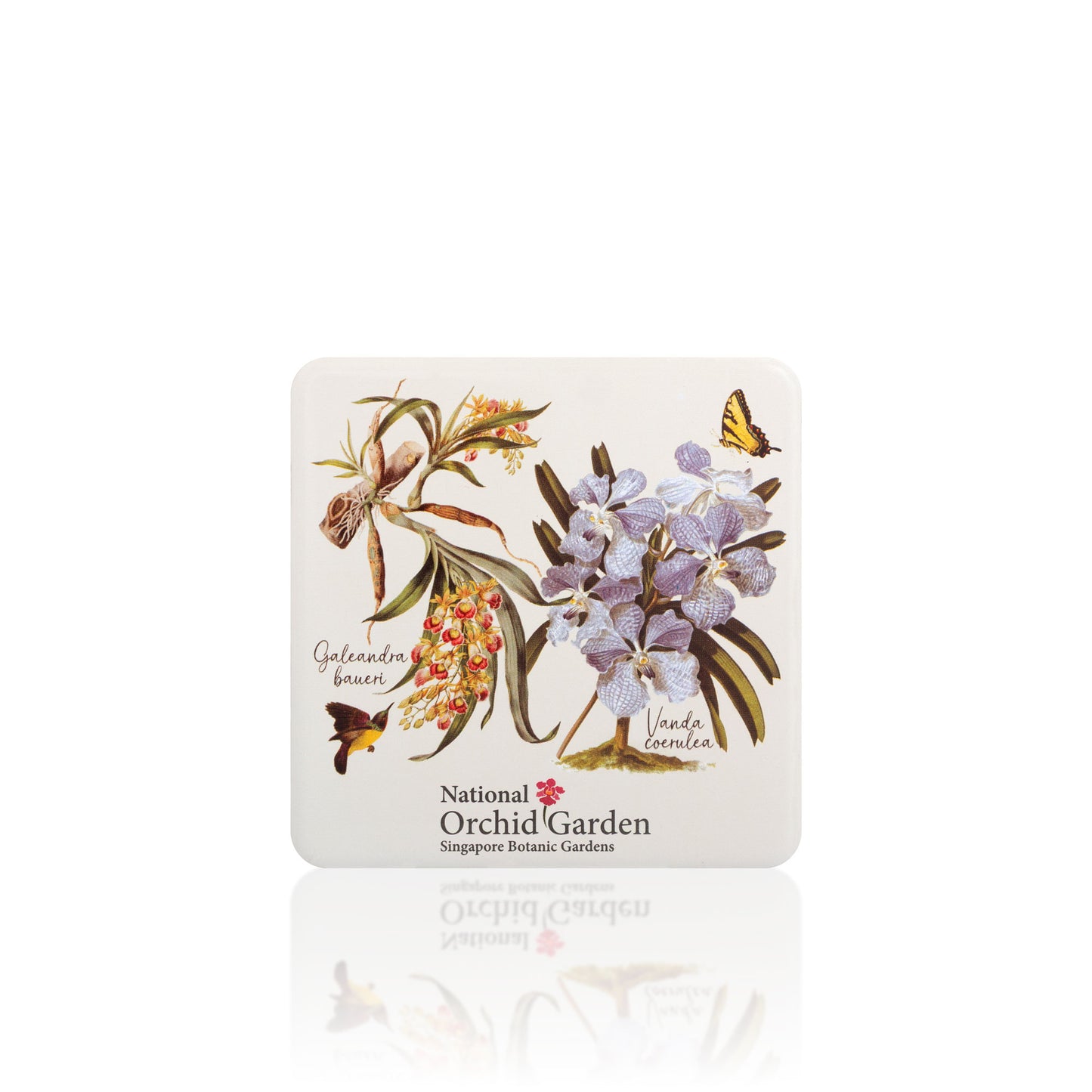Square orchid garden magnet with purple orchid illustration and butterflies