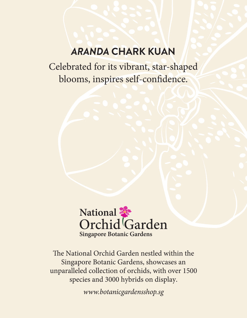 Orchid garden fridge magnet back with Aranda Chark Kuan text and white orchid illustration
