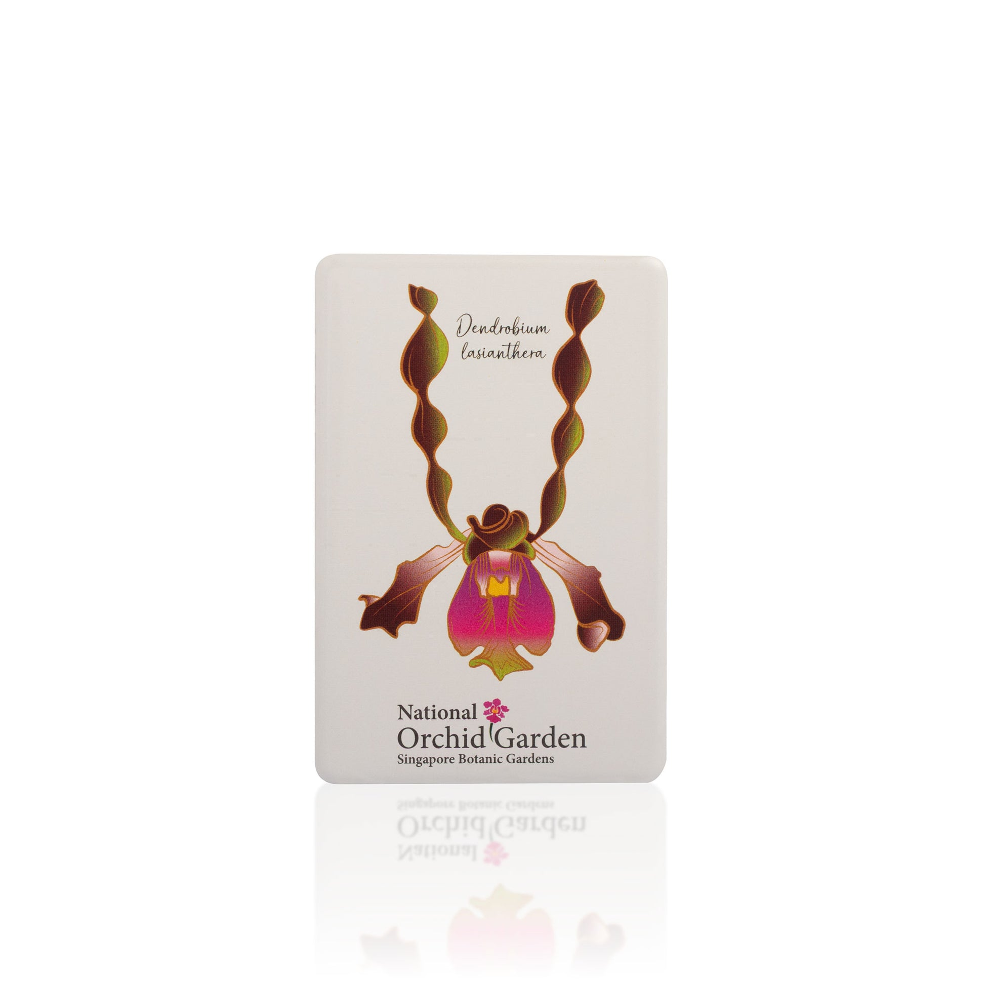 National Orchid Garden magnet with Dendrobium lasianthera orchid artwork and logo