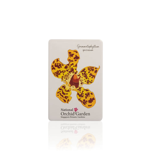 Square orchid garden refrigerator magnet with yellow tiger orchid illustration and logo