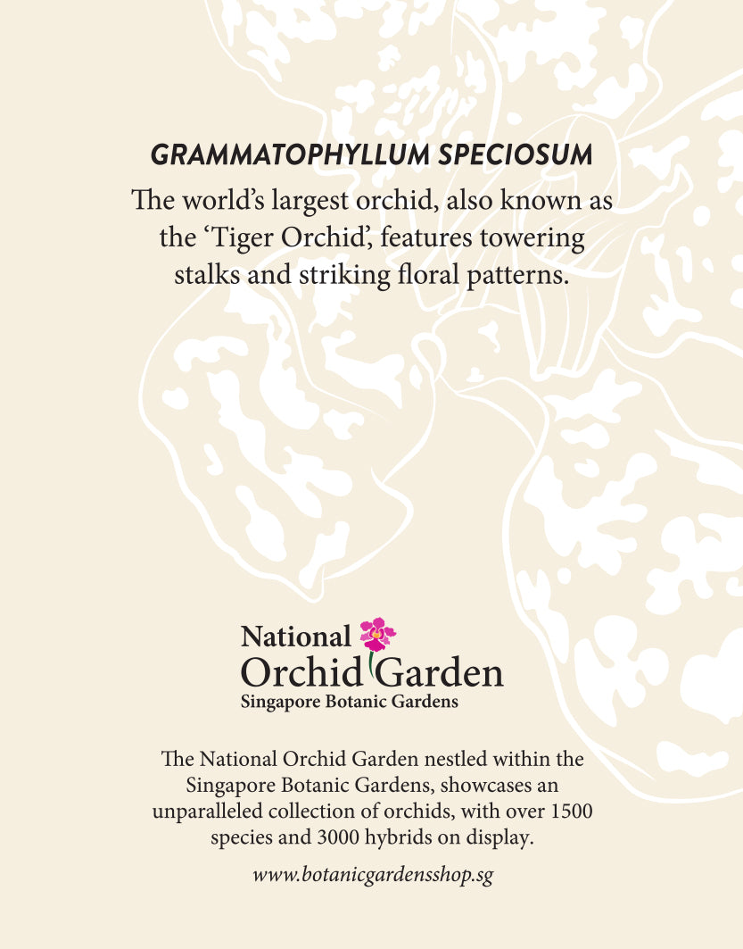 Orchid text layout magnet with Grammatophyllum speciosum title and National Orchid Garden logo