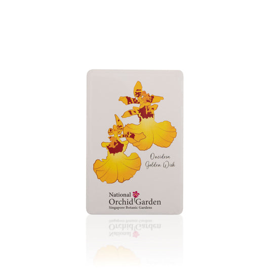 Rectangular orchid garden magnet with yellow Oncidesa Golden Wish illustration