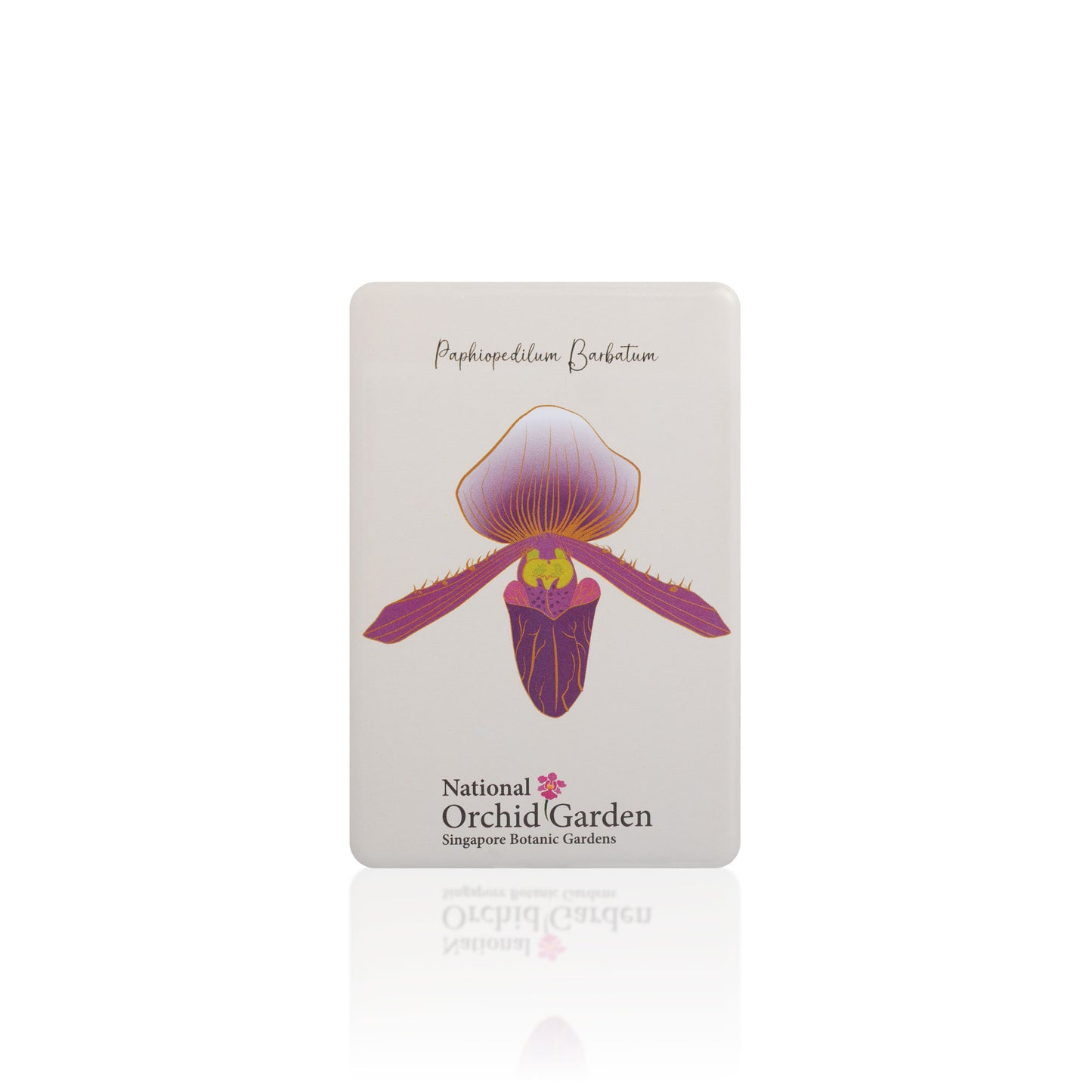 Orchid garden magnet with Paphiopedilum barbatum illustration, text and logo