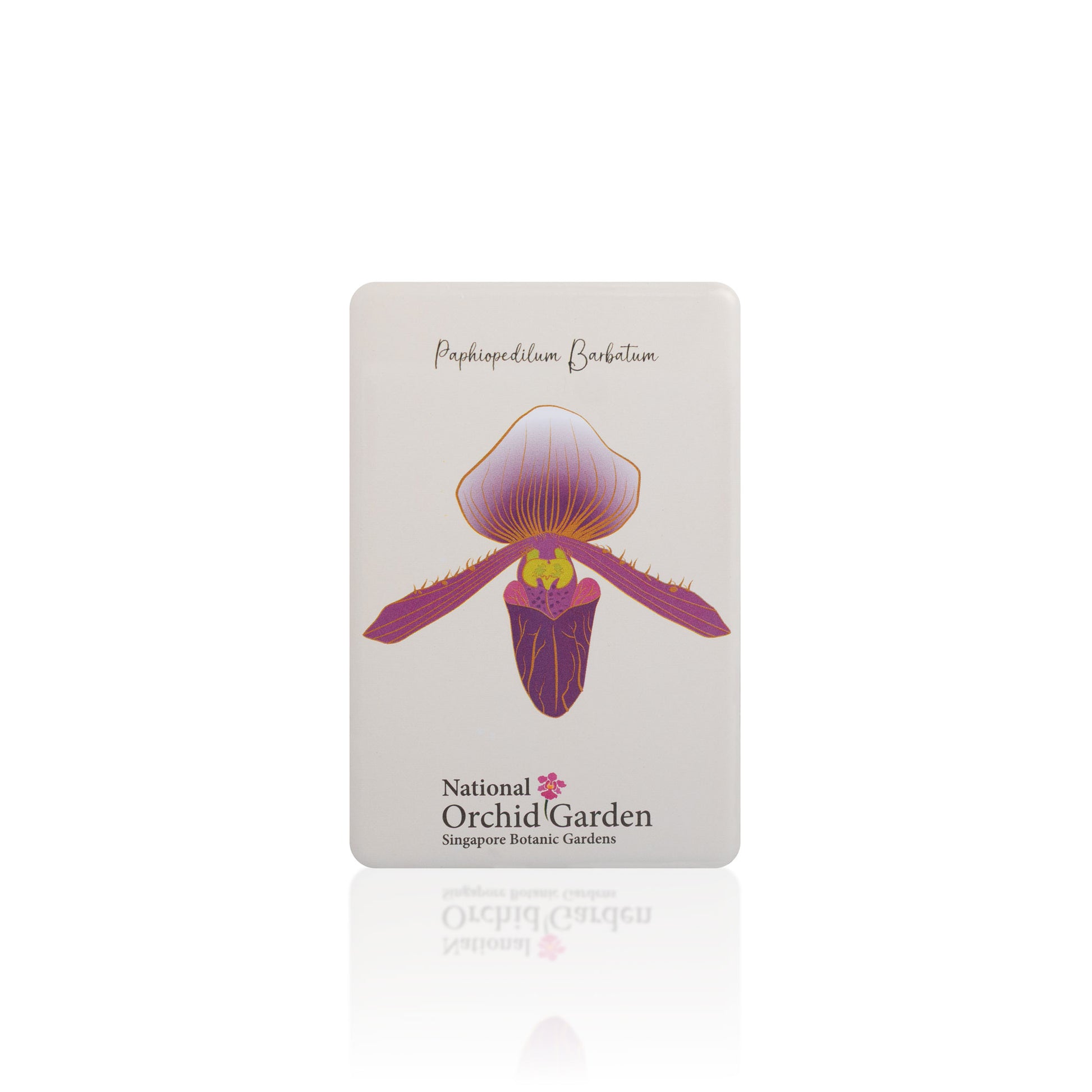 Orchid garden magnet with Paphiopedilum barbatum illustration, text and logo