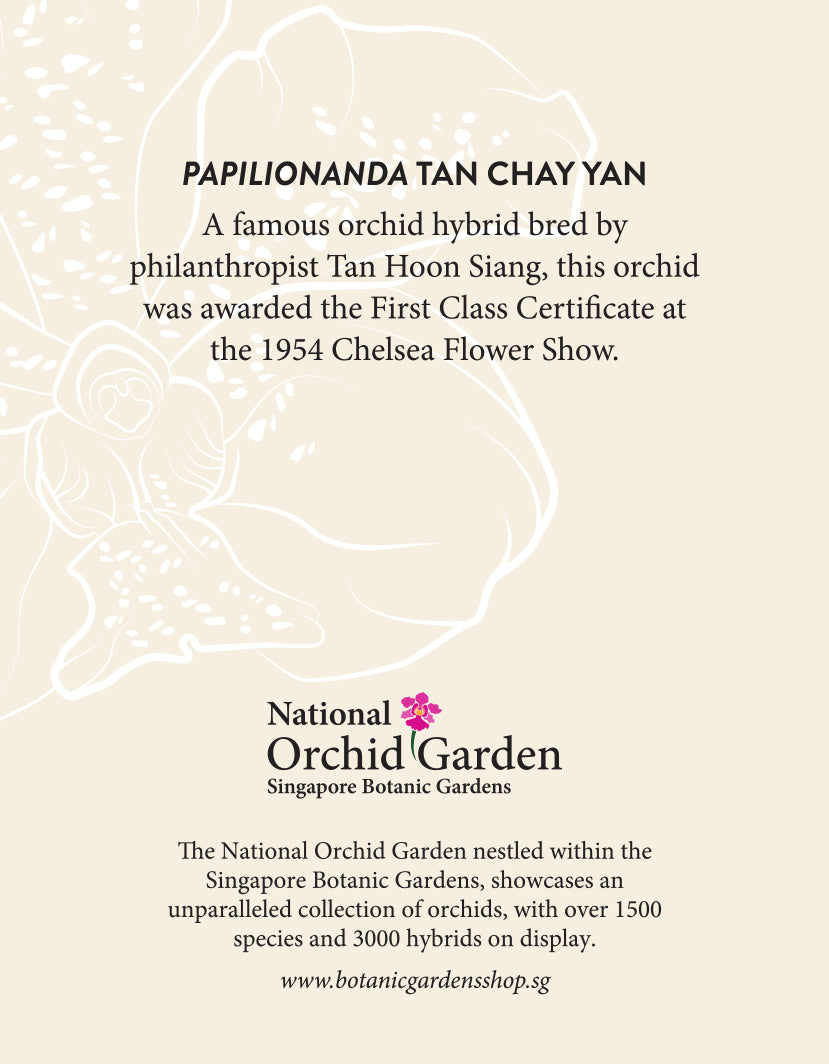 Orchid garden magnet backing with printed orchid text and National Orchid Garden details