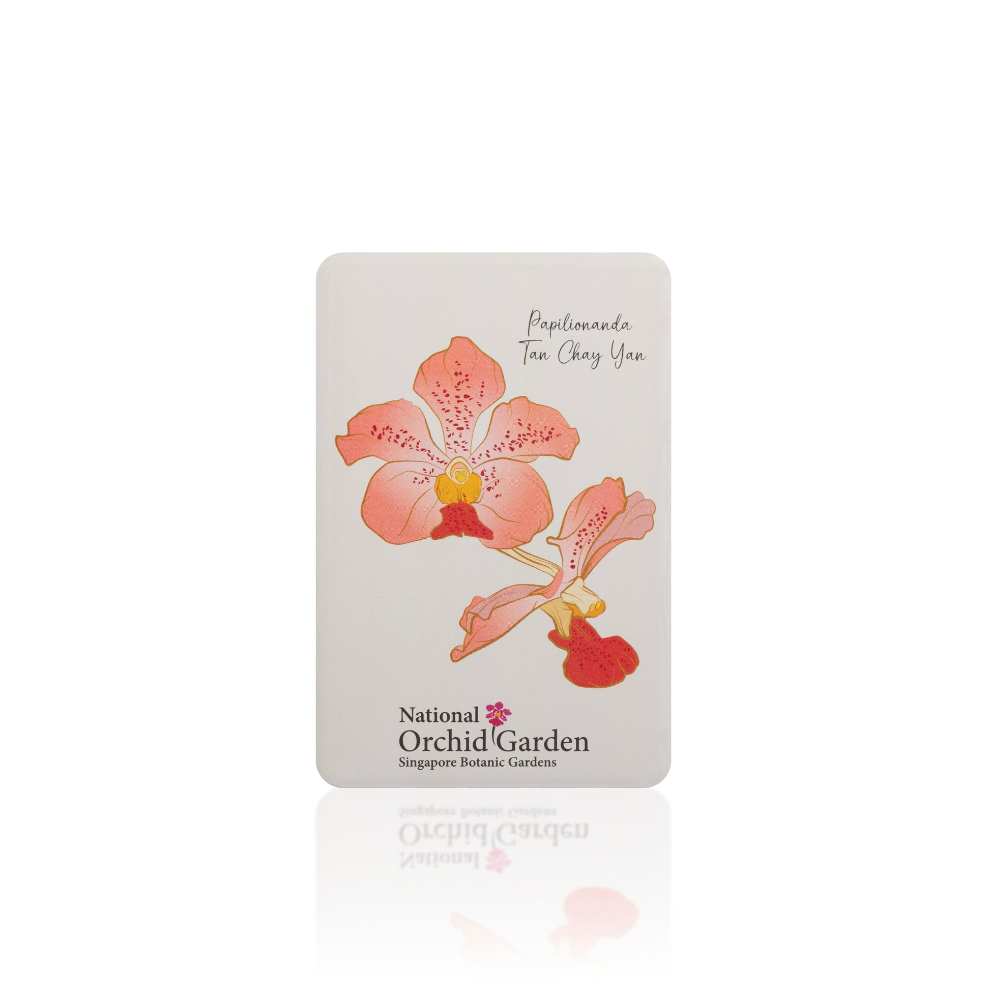 Orchid garden fridge magnet with peach flower illustration and National Orchid Garden text