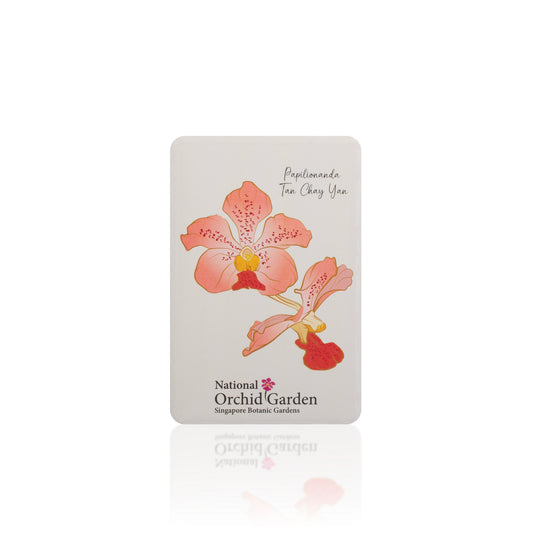 Orchid garden fridge magnet with peach flower illustration and National Orchid Garden text