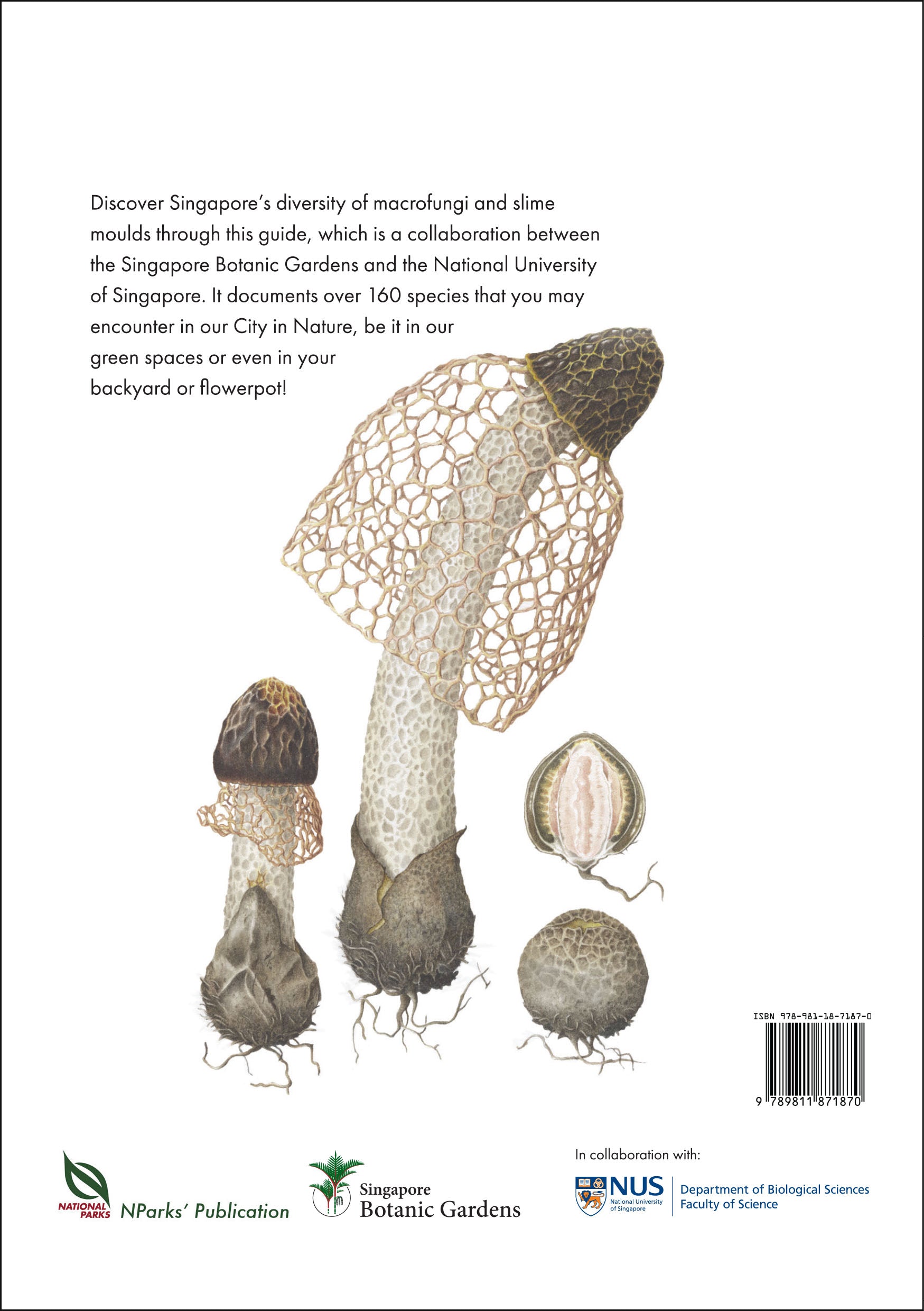 Book back cover with detailed mushroom illustrations, notes, and barcode