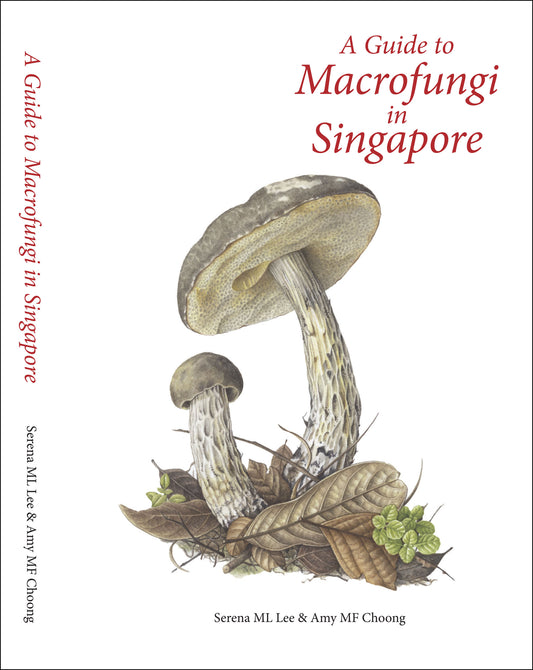 Book front cover titled 'A Guide to Macrofungi in Singapore' with mushrooms and leaves