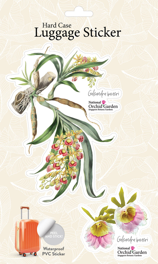 Botanic Luggage Sticker – Galeandra Baueri