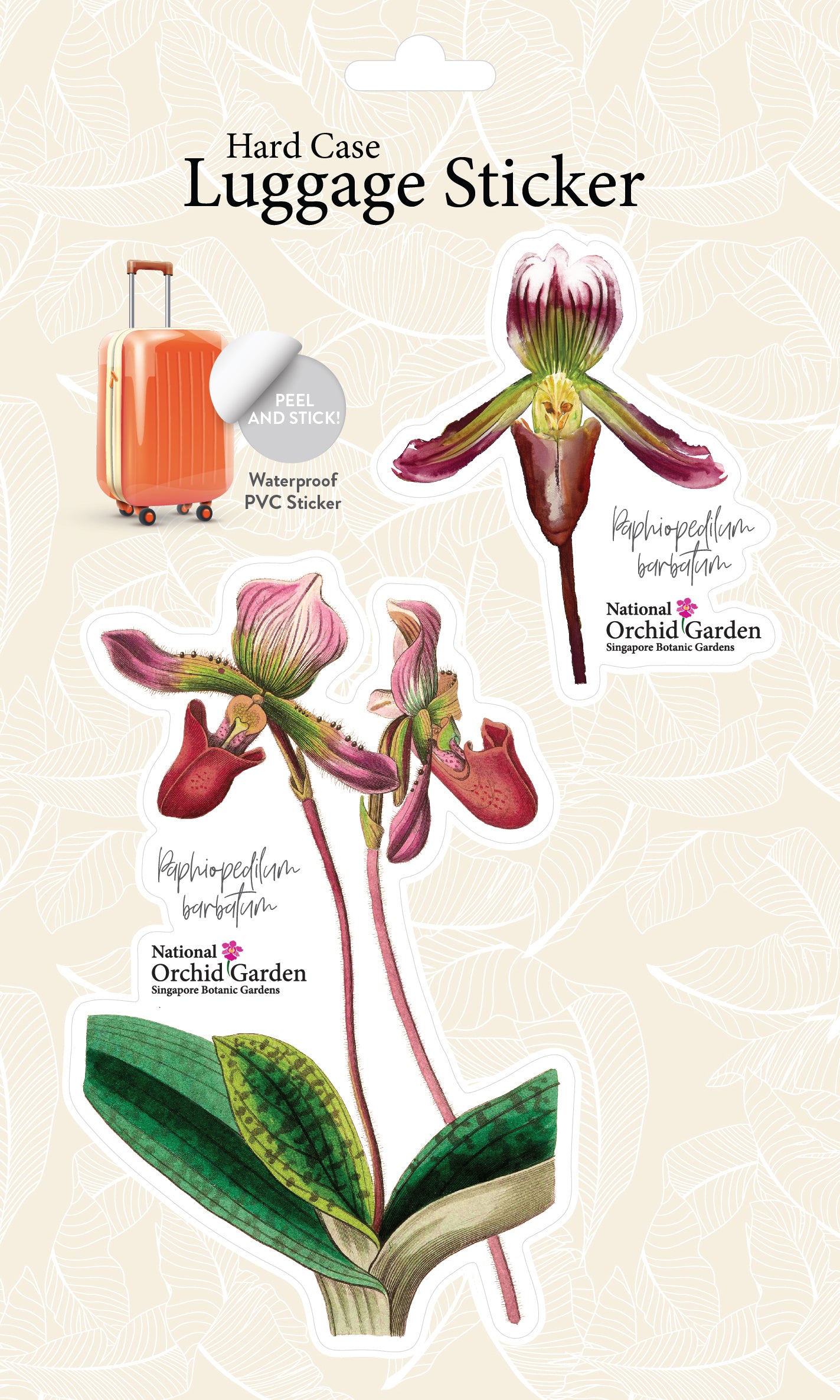 Botanic Luggage Sticker – Paphiopedilum Barbatum