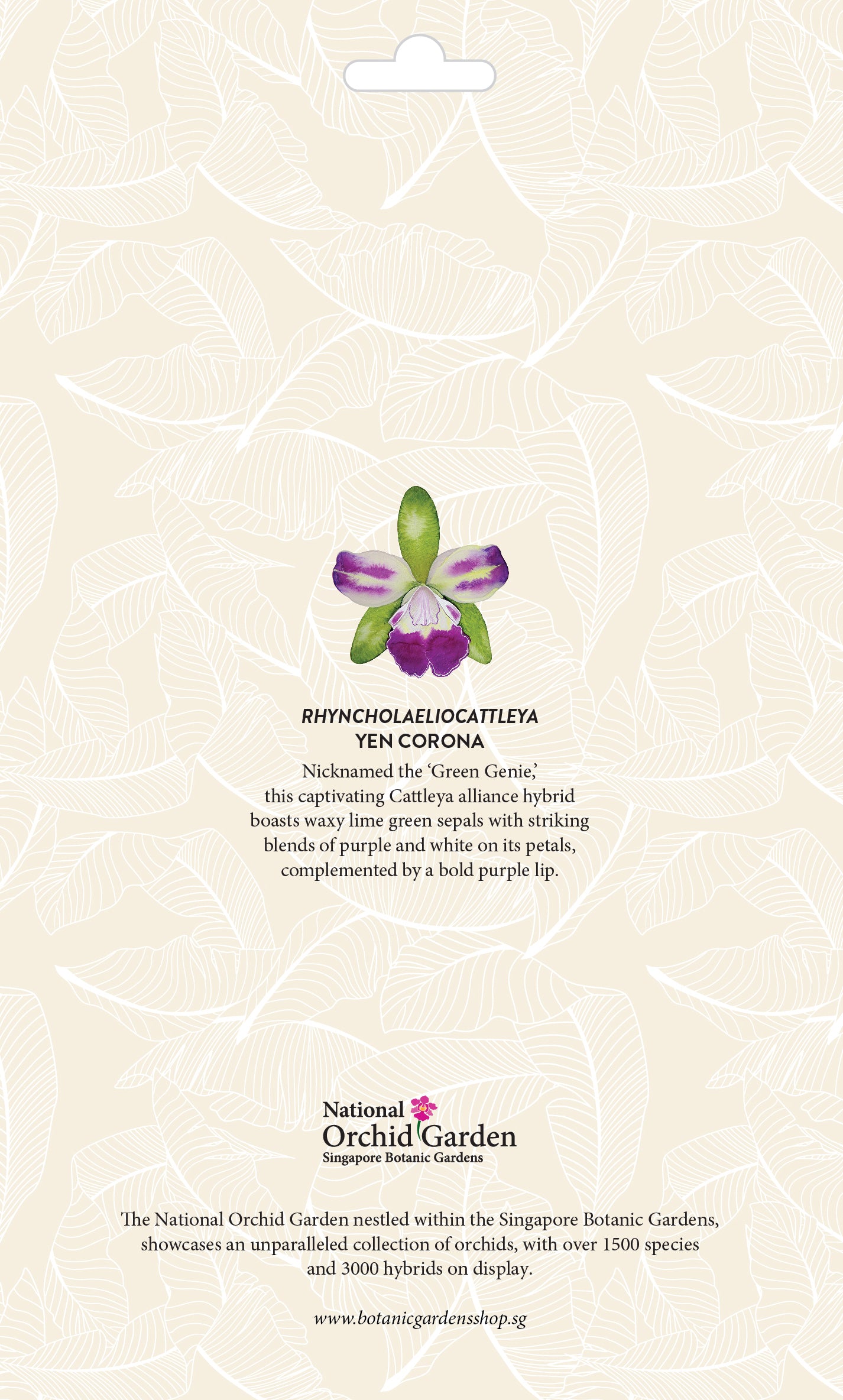Botanic Luggage Sticker – Rhyncholaeliocattleya Yen Corona